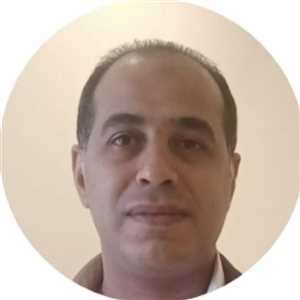 محمود ربيع